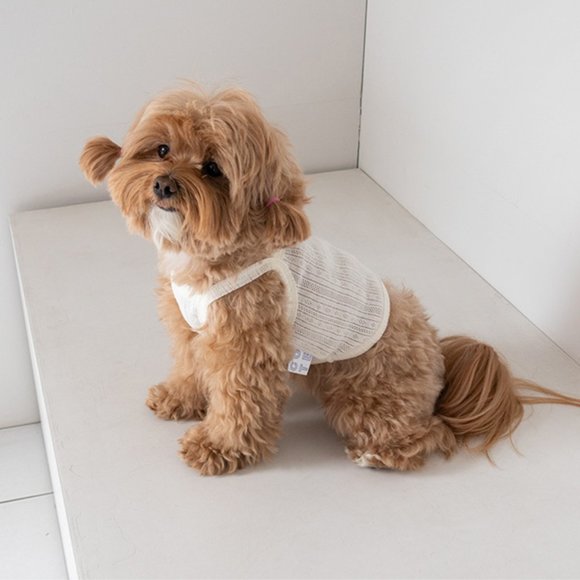 Fourleaf Clover Croptop(Ivory) - Picture 4 of 5